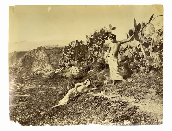 Wilhelm Von Gloeden - Fotografia raffigurante personaggi nudi in campo di fichi d'india
