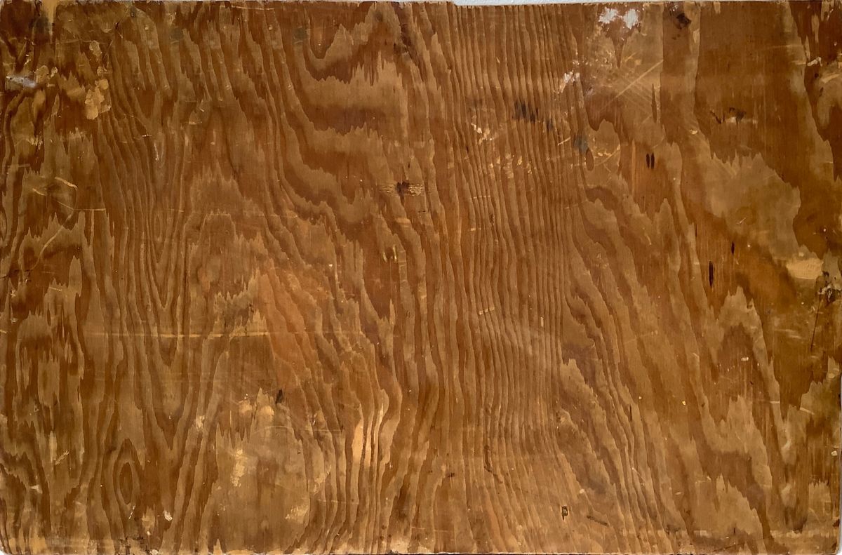 Paesaggio con casa e quercia