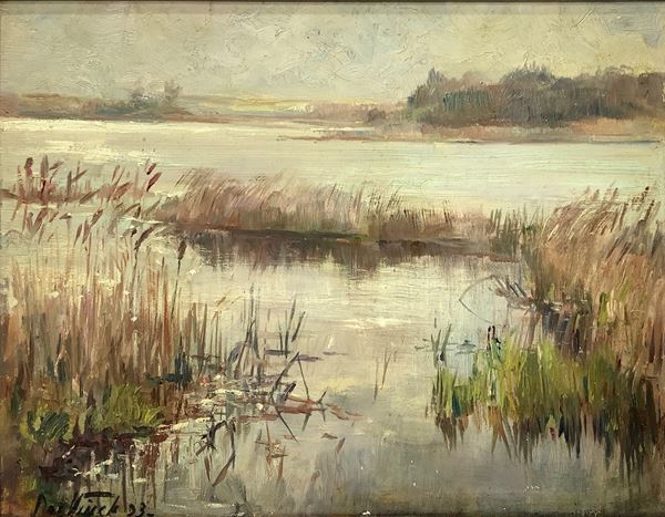 Jozef Vinck - Paesaggio lacustre