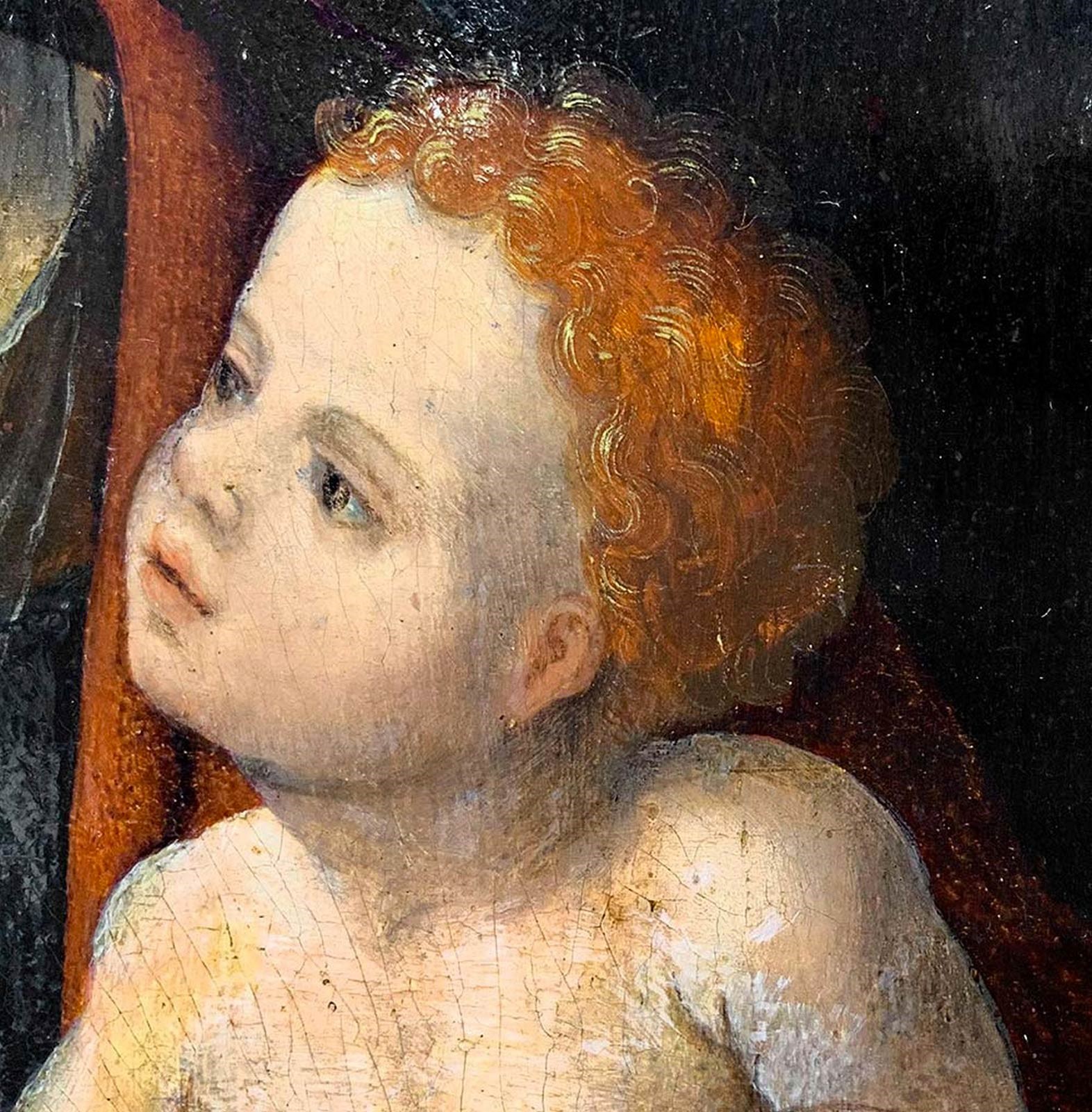 Pieter Coecke Van Aelst - Madonna con Libro e Gesù Bambino.