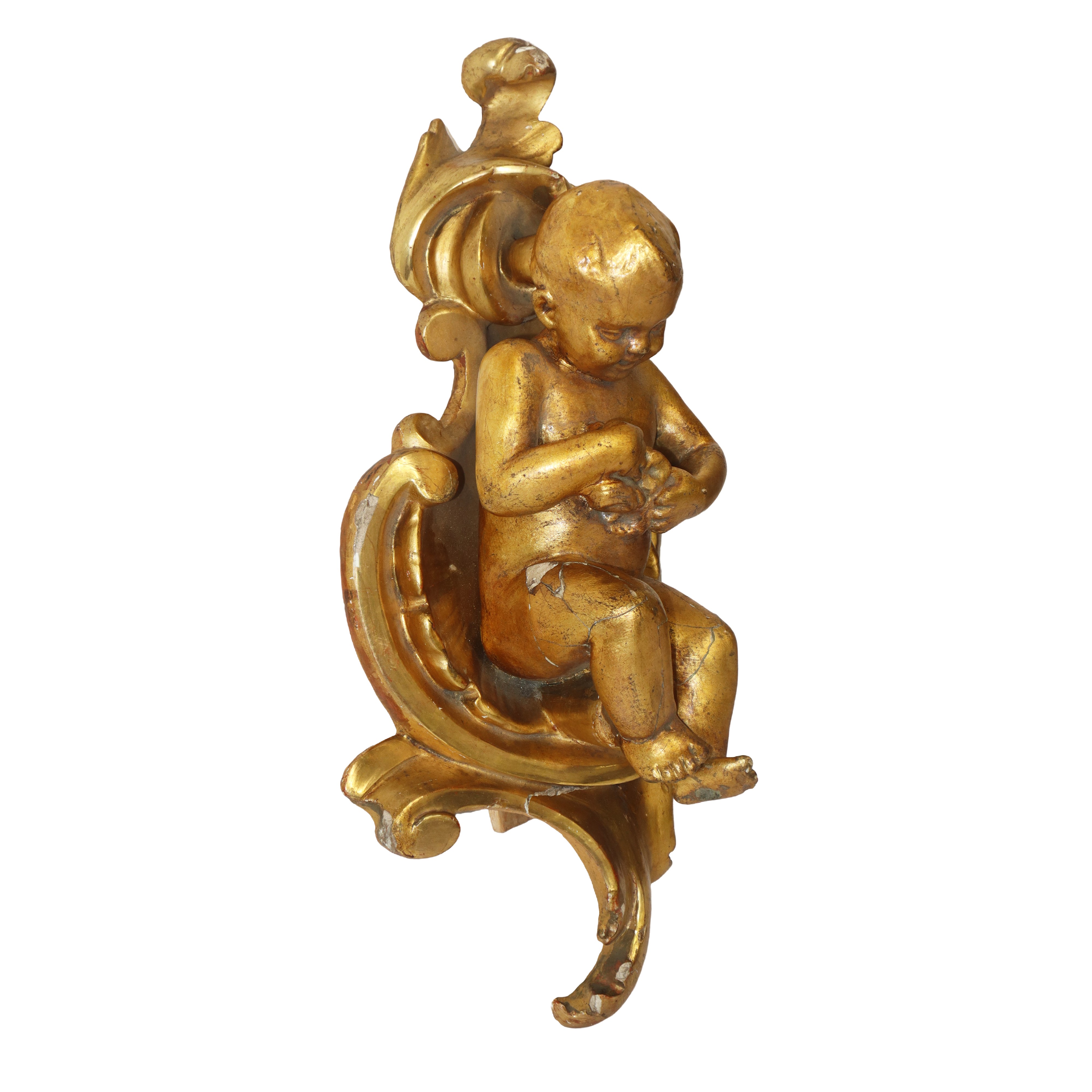 Putto, terracotta dorata a foglia con conchiglia e base in legno dorato, fine XIX secolo