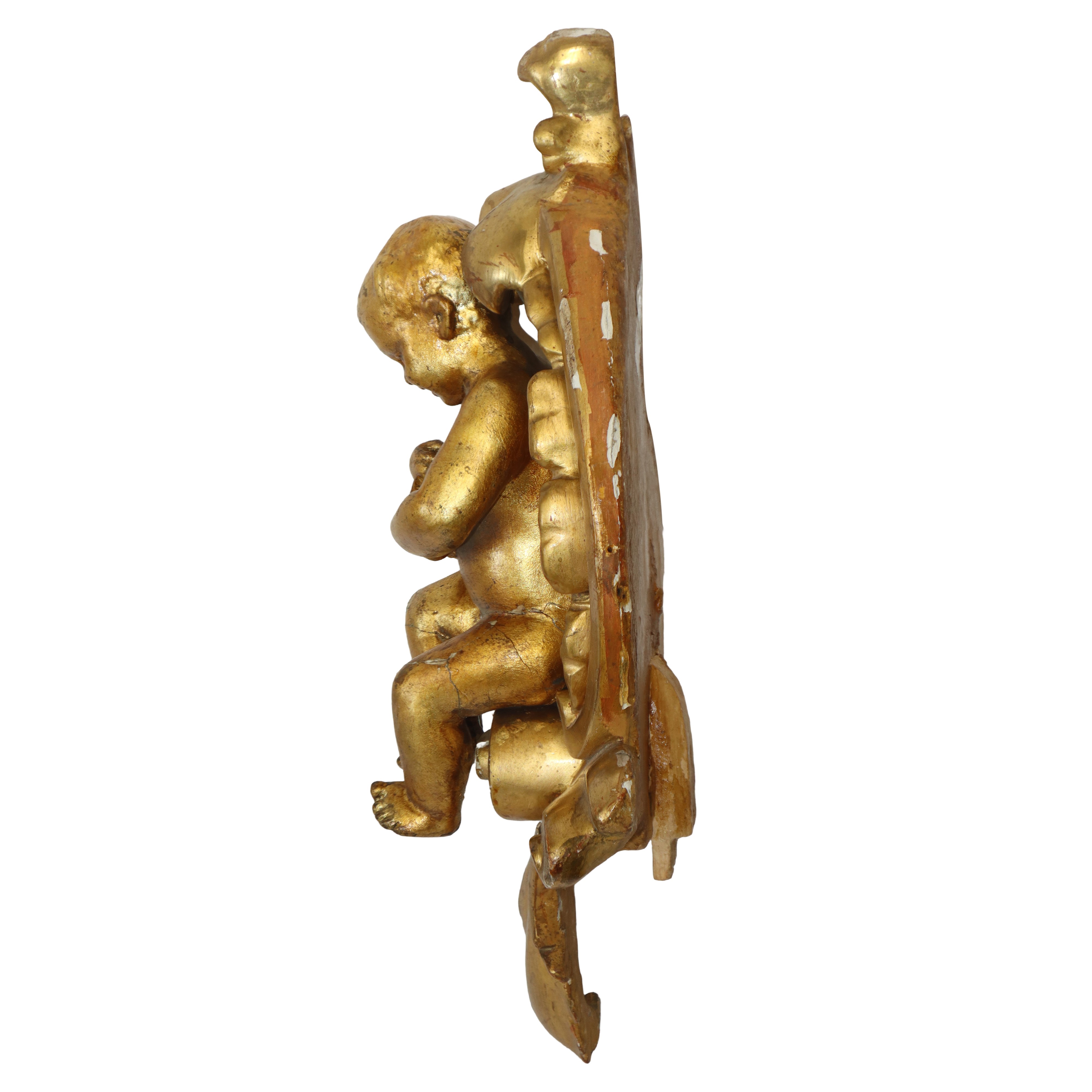 Putto, terracotta dorata a foglia con conchiglia e base in legno dorato, fine XIX secolo
