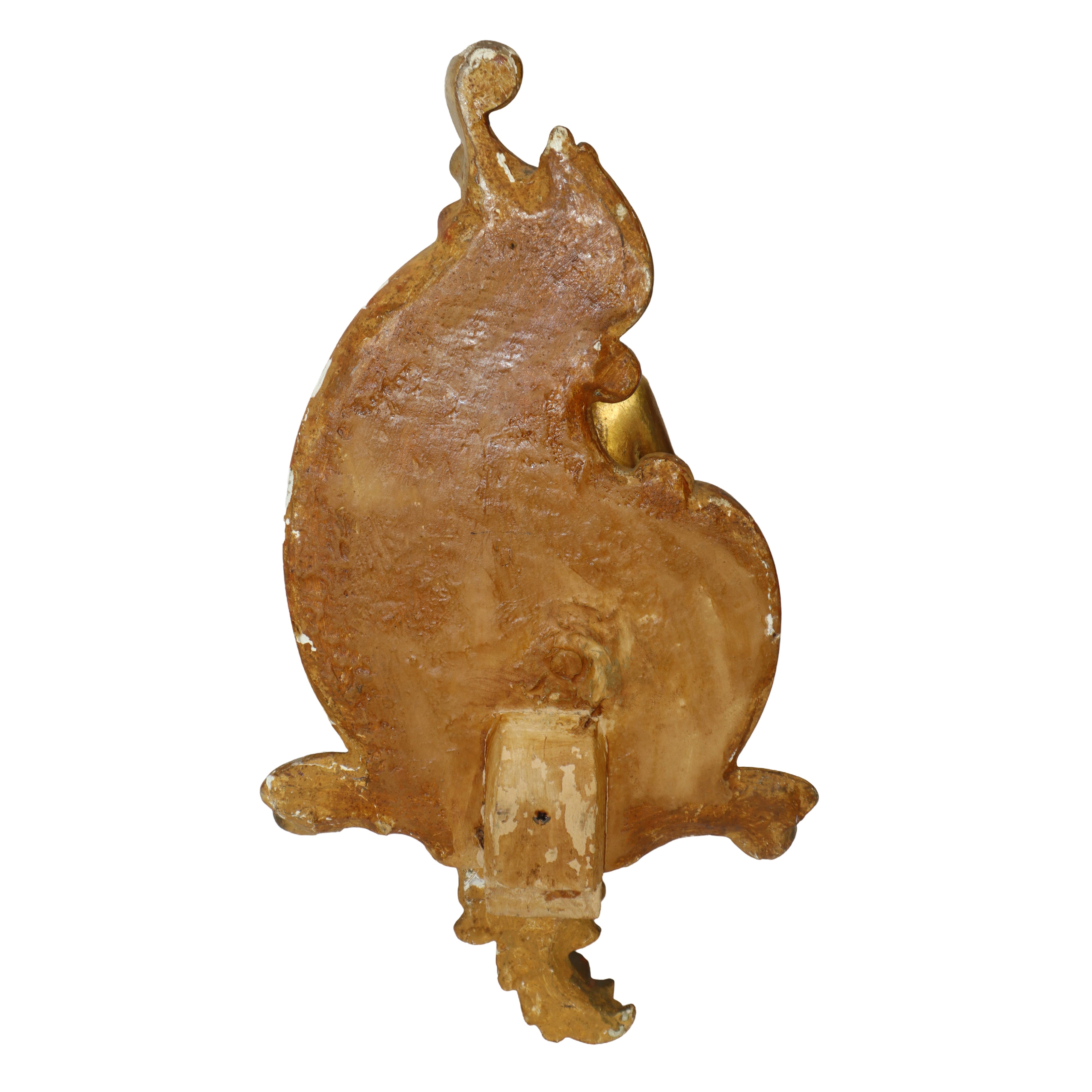 Putto, terracotta dorata a foglia con conchiglia e base in legno dorato, fine XIX secolo