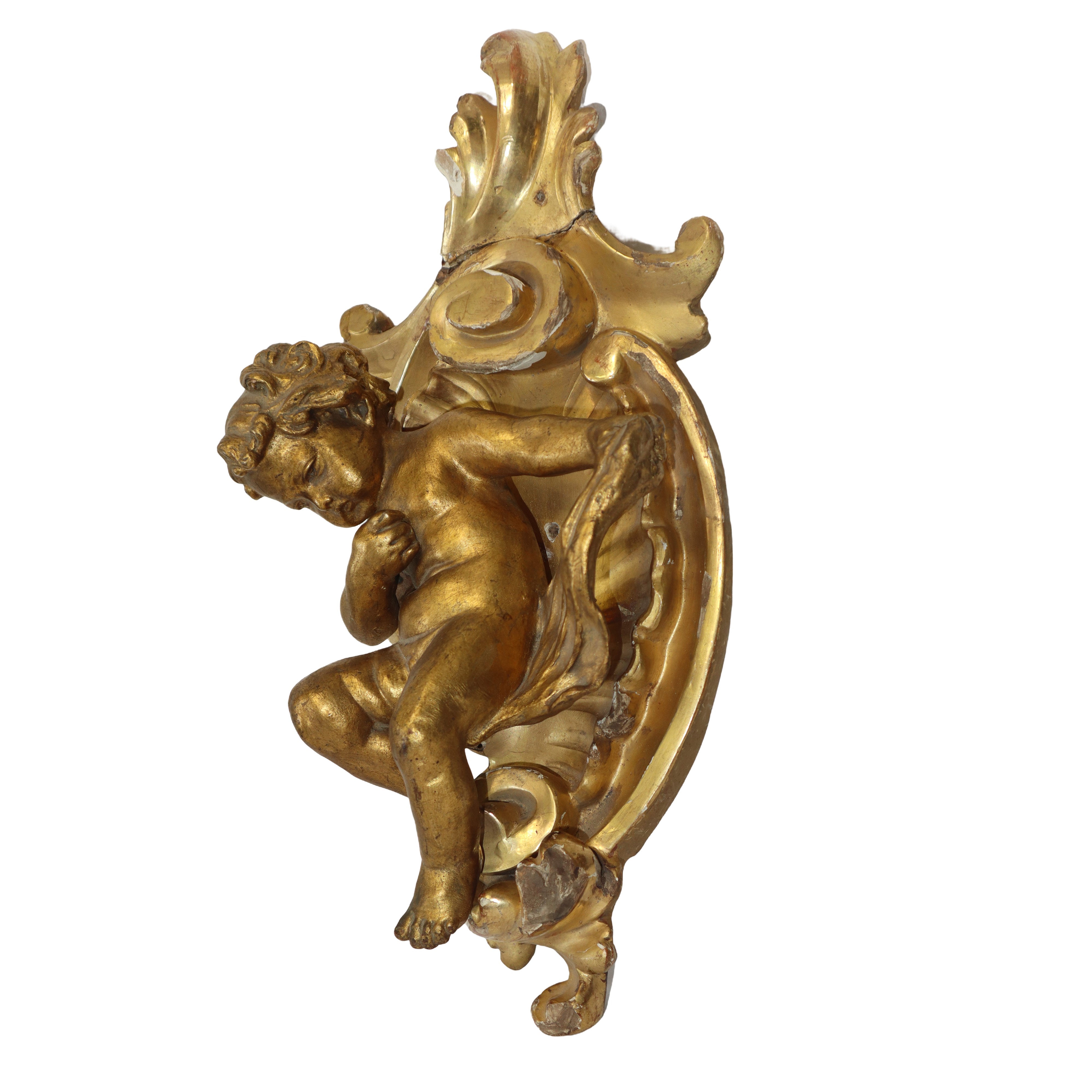 Putto in Terracotta Dorata a Foglia in Conchiglia di Legno Dorato