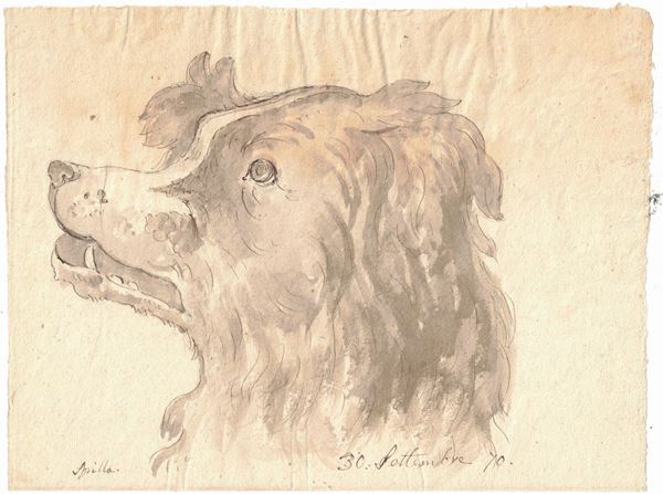 Dog head