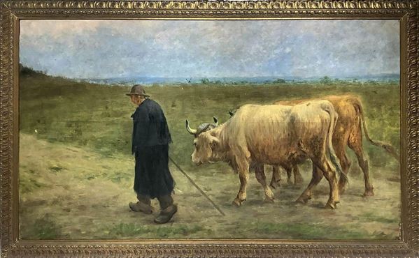 Dipinto ad olio su tela raffigurante contadino con buoi. Pittore italiano del XIX secolo. Cm 115x200. 
