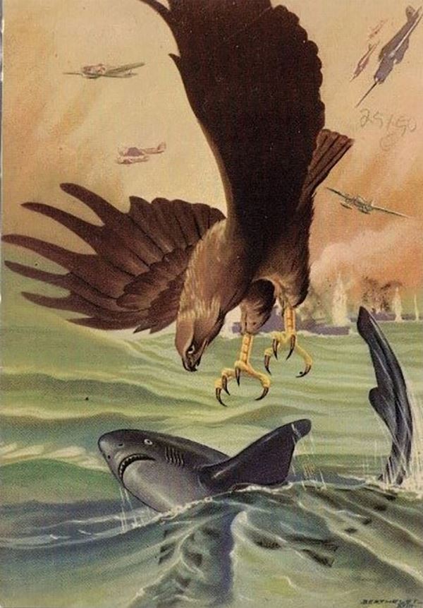 Air Force Weapon Postcard