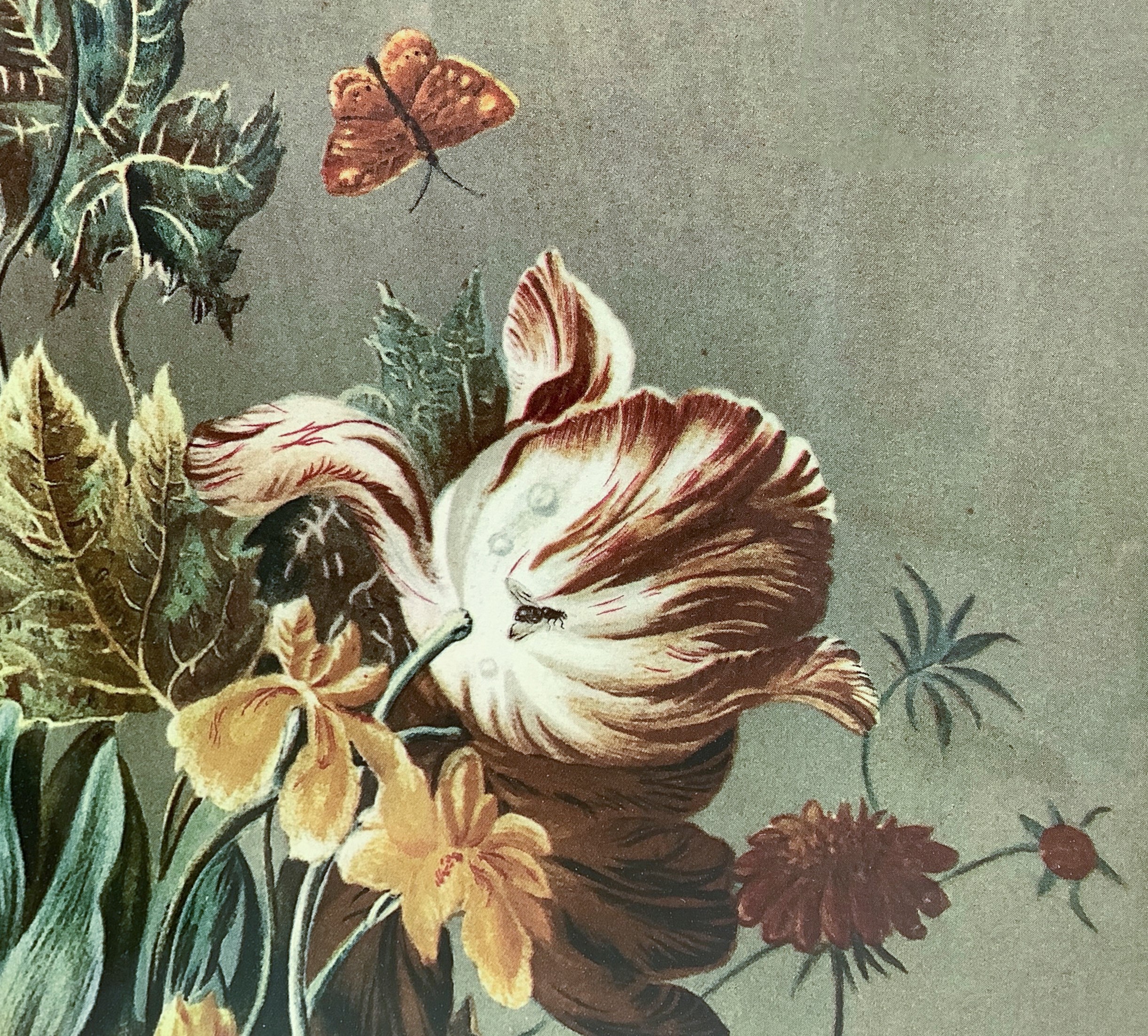 Joseph Nigg - Coppia di nature morte di fiori in vaso (cromolitografia)