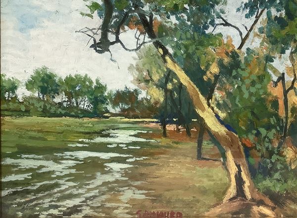 Rio with trees
