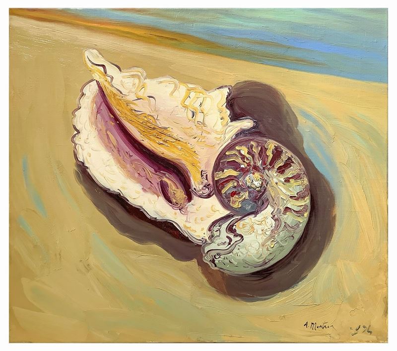 Antonio Mastronunzio - Conchiglia