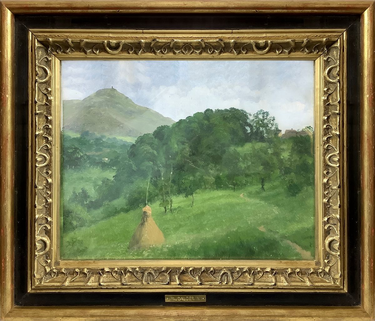 Marco Calderini - Collina Torinese