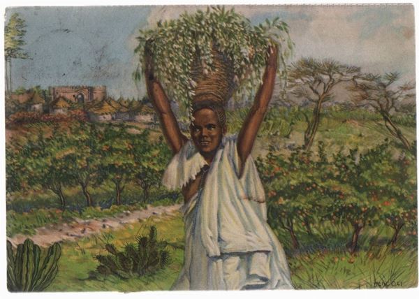 Cartolina coloniale originale Fiori d'arancio dell' Harrar