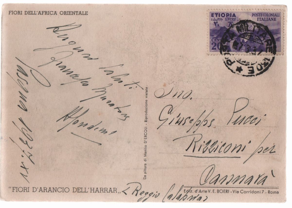 Cartolina Coloniale Originale Fiori D'arancio Dell' Harrar