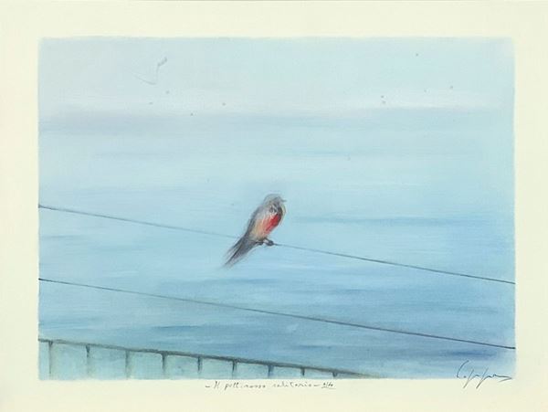 Il pettirosso solitario