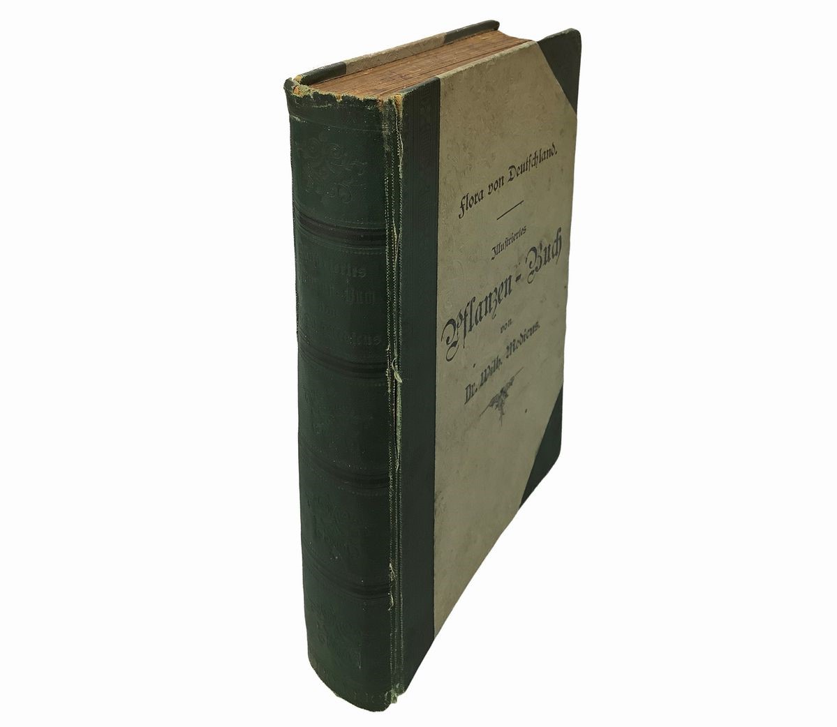 Flora von Deutschland