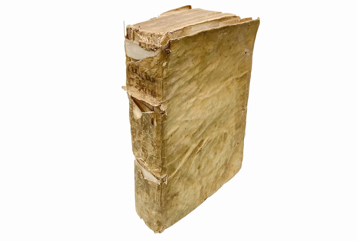 Synaxis curae animarum ex omnibus