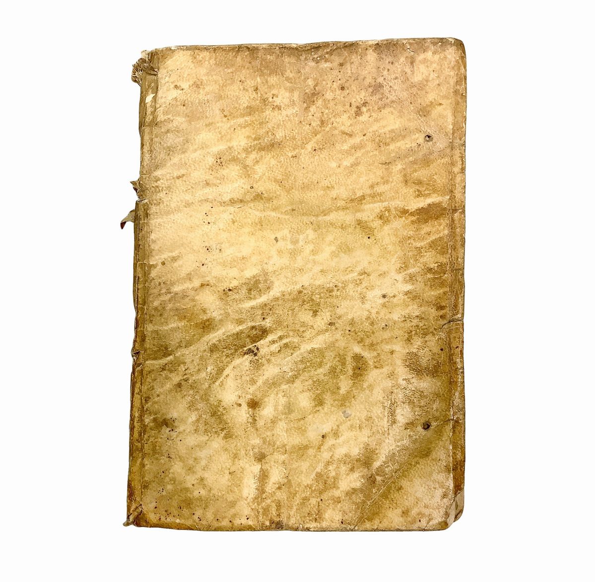 Synaxis curae animarum ex omnibus