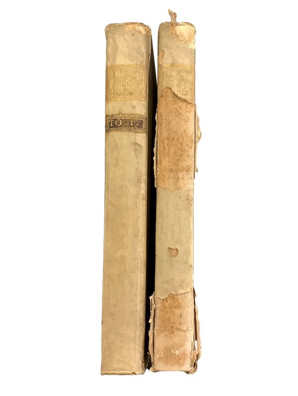 Johannis Brunnemanni, jurisconsulti, Commentarius in Codicem Justinianeum. Tomus Primus e Tomus Secundus.