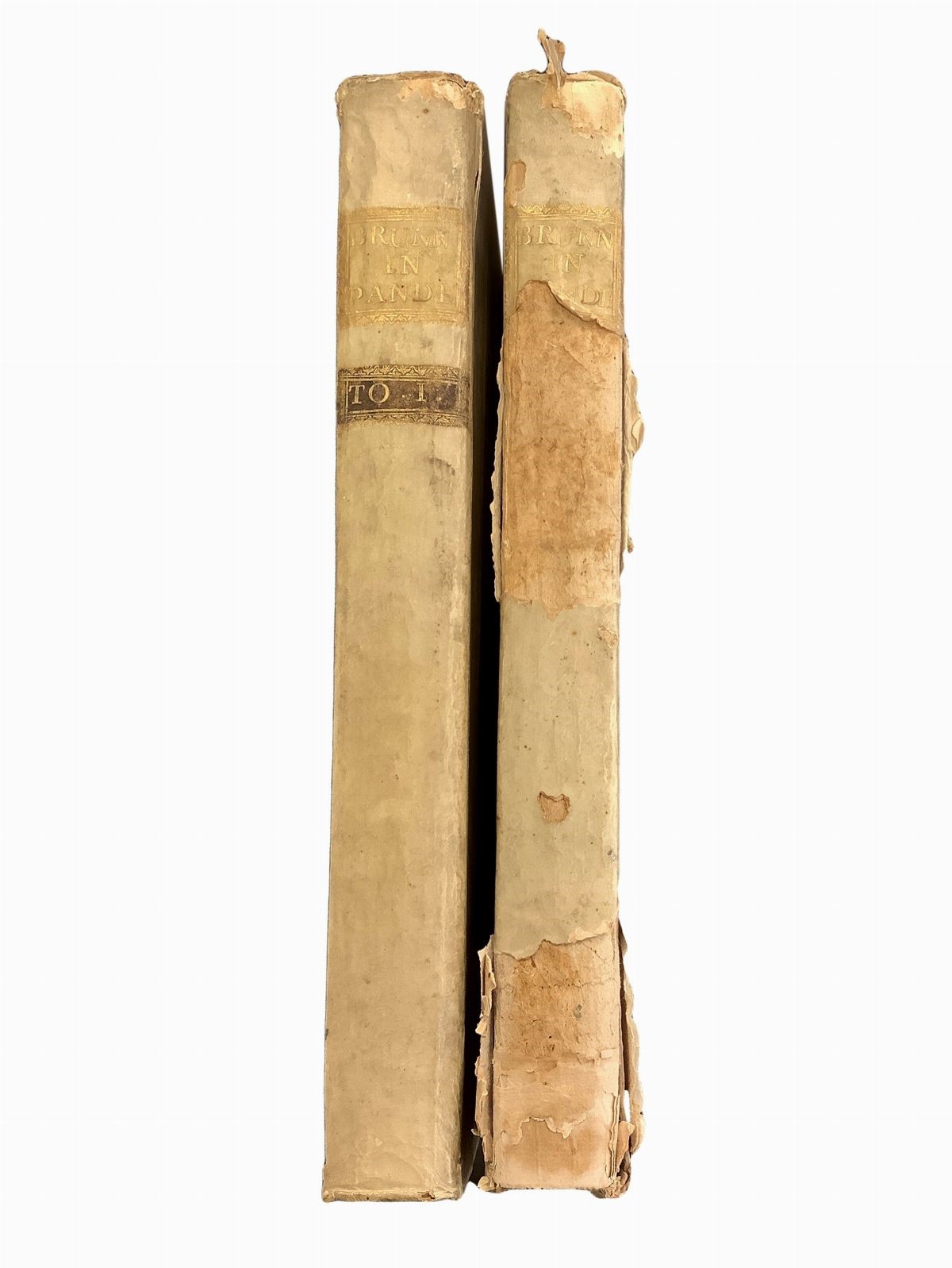 Johannis Brunnemanni, jurisconsulti, Commentarius in Codicem Justinianeum. Tomus Primus e Tomus S...