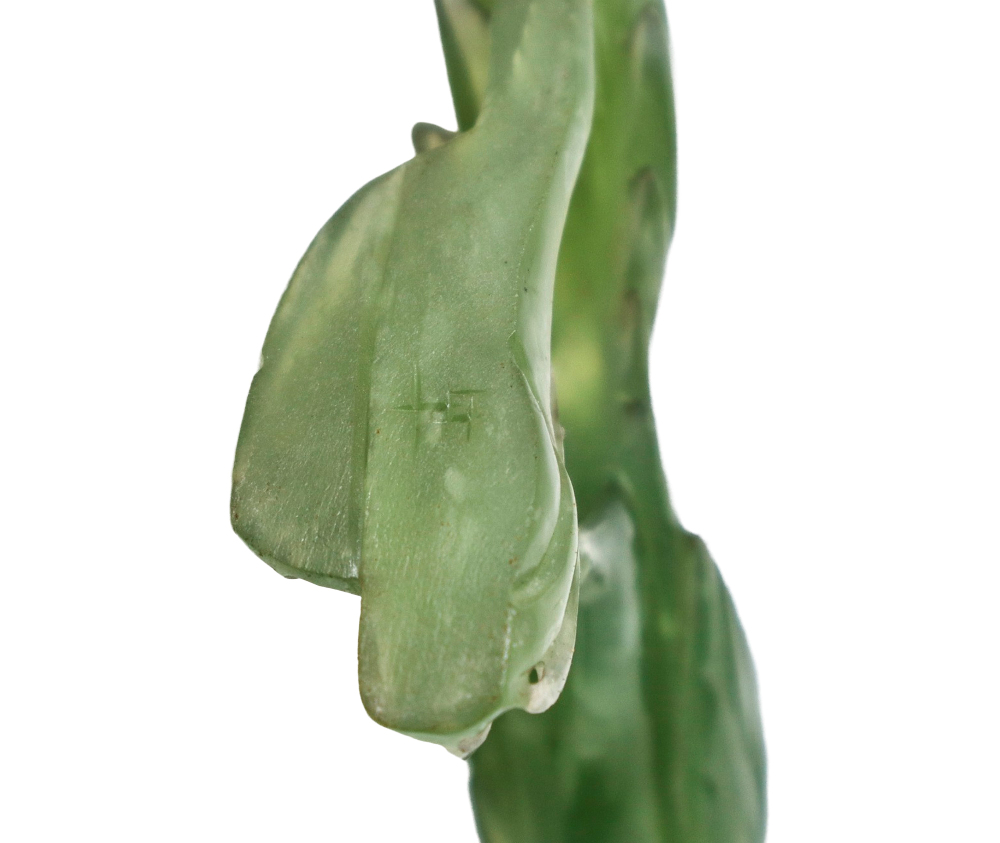 Galli in giada verde