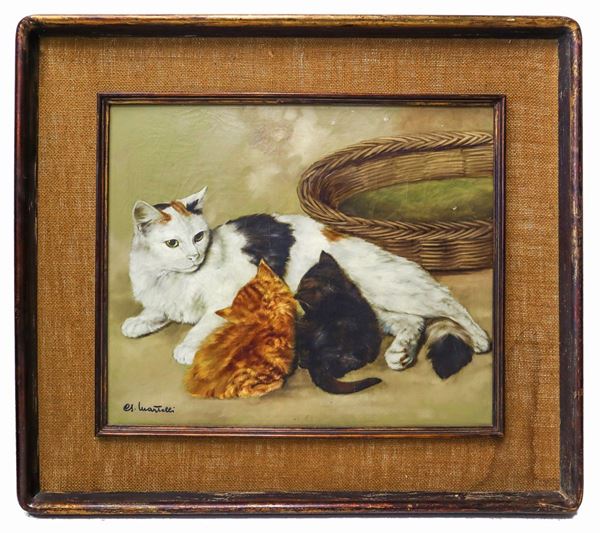 Cats