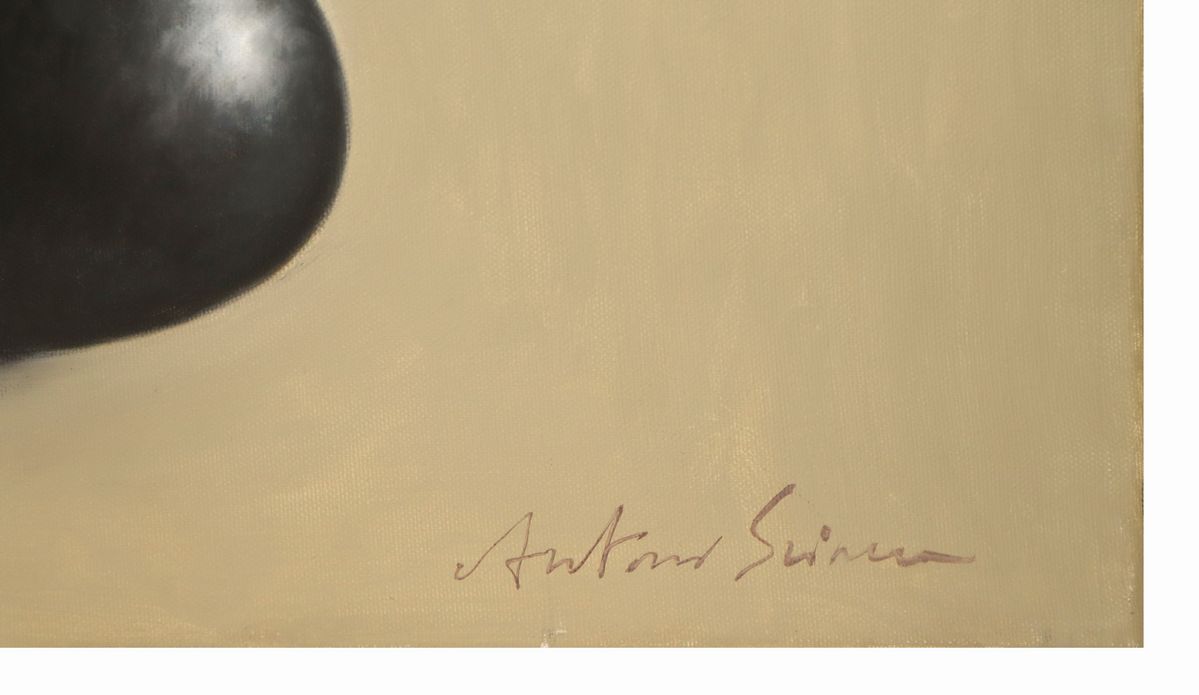 Antonio Sciacca - Natura Morta