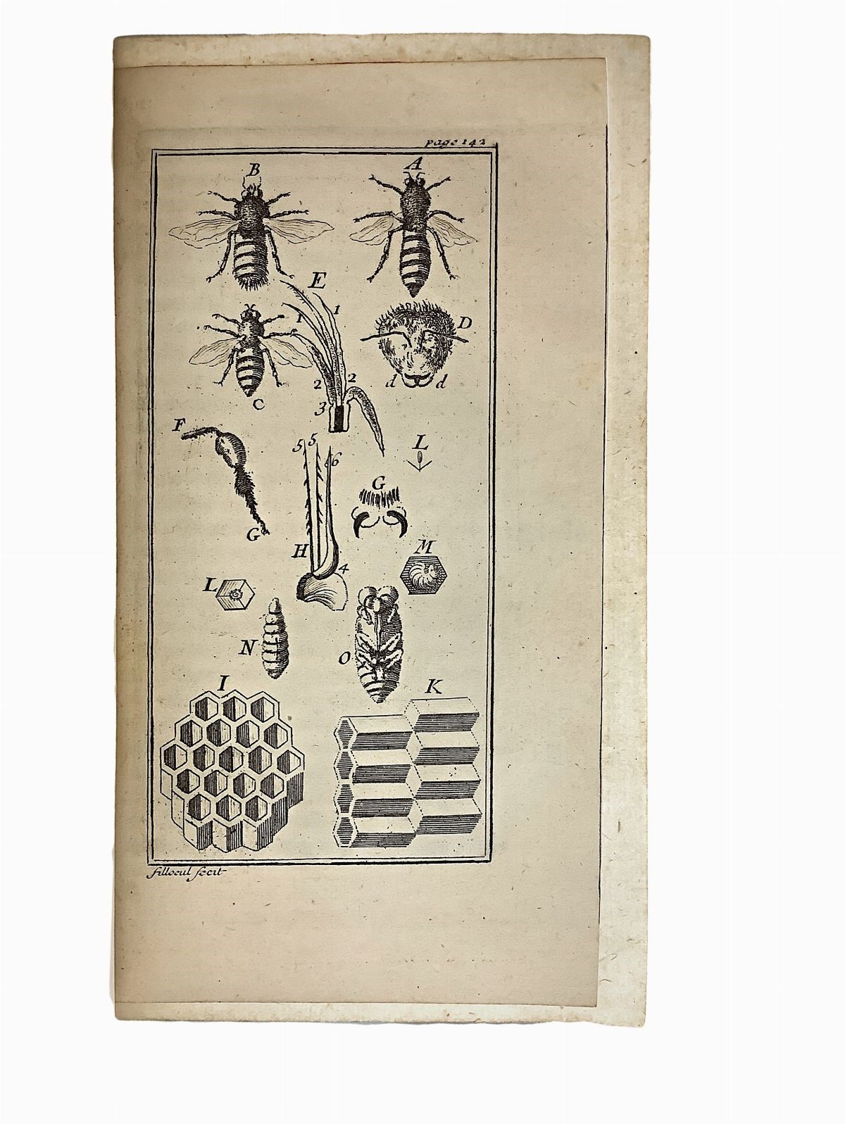 Le Spectacle de la Nature