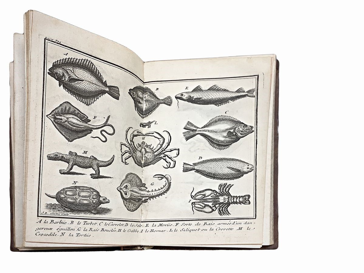 Le Spectacle de la Nature