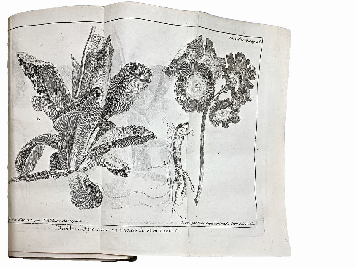 Le Spectacle de la Nature