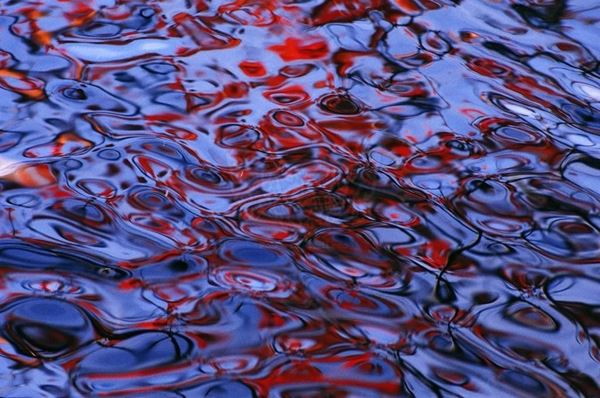 Collezione AQUA, titolo "Jam Session", anno 2006. USA: NJ, Residenza per artisti ad I-Park, riflesso di foglie rosse su lago blu, diapositiva 0 / 5, 70x100, stampa digitale Fine Art su carta fotografica mat kodak, forex nero 20mm, bordato
