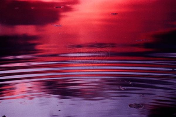 Collezione AQUA, titolo "Sun set", anno 2006. USA: NJ, Residenza per artisti ad I-Park, riflesso di tramonto rosso/viola su lago con onde circolari, diapositiva  1 / 5 , 70x100, stampa digitale Fine Art su carta fotografica mat kodak, forex nero 20mm, bordato