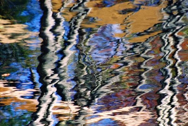 Collezione AQUA, titolo "Ragtime Tune", anno 2006. USA: NJ, Residenza per artisti ad I-Park, riflesso di alberi autunnali e teli su lago blu, dettaglio, diapositiva 0 / 5, 70x103, stampa digitale Fine Art su tela, legno10mm 65x100