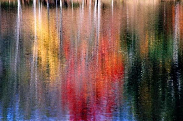 Collezione AQUA, titolo "Serendipity", anno 2006. USA: NJ, Residenza per artisti ad I-Park, riflesso di alberi autunnali gialli, verdi e rossi su lago, diapositiva 0 / 5, 66x100, stampa digitale Fine Art su tela, legno10mm 66x100
