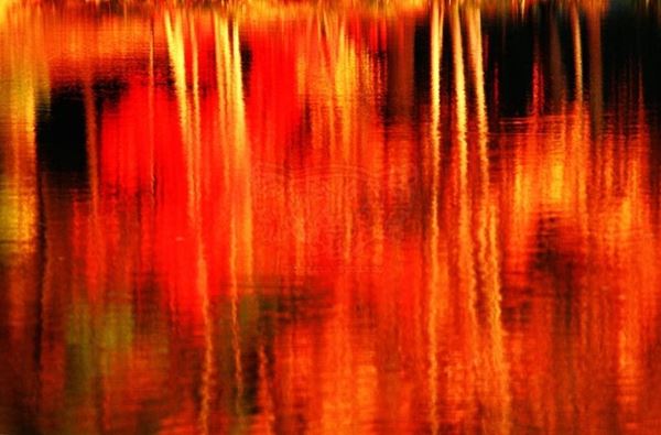 Collezione AQUA, titolo "Flamenco", anno 2006. USA: NJ, Residenza per artisti ad I-Park, riflesso di alberi autunnali rossi su lago, diapositiva 0 / 5, 66x100, stampa digitale Fine Art su tela, legno10mm 66x100