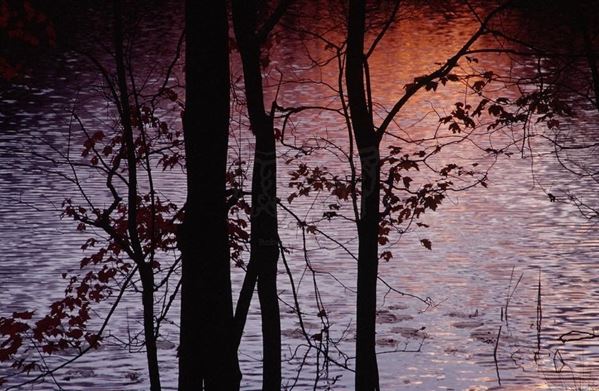 Collection AQUA, titled "Music theory", 2006. USA: NJ, residence for artists to I-Park, silouhette of blacks autumn trees against purple and orange lake, slide 0/5, 70x100, Digital Fine Art print on photographic matte paper kodak , forex black 20mm, edged