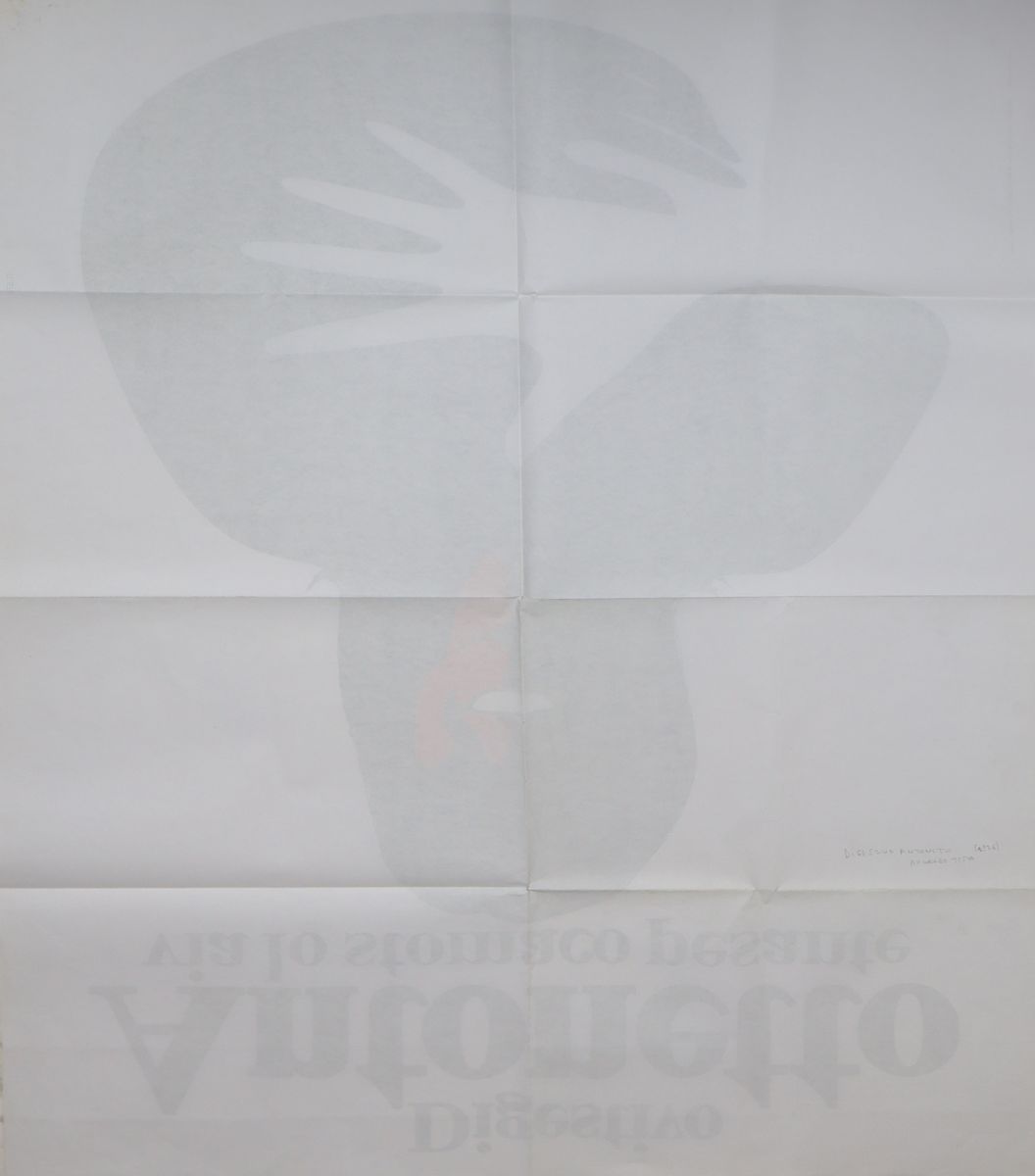 Manifesto pubblicitario Digestivo Antonetto Donna