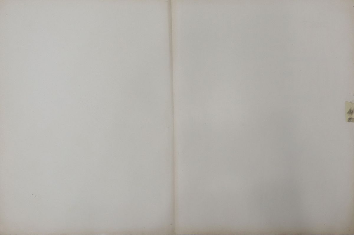 Fotobusta ''King Kong''