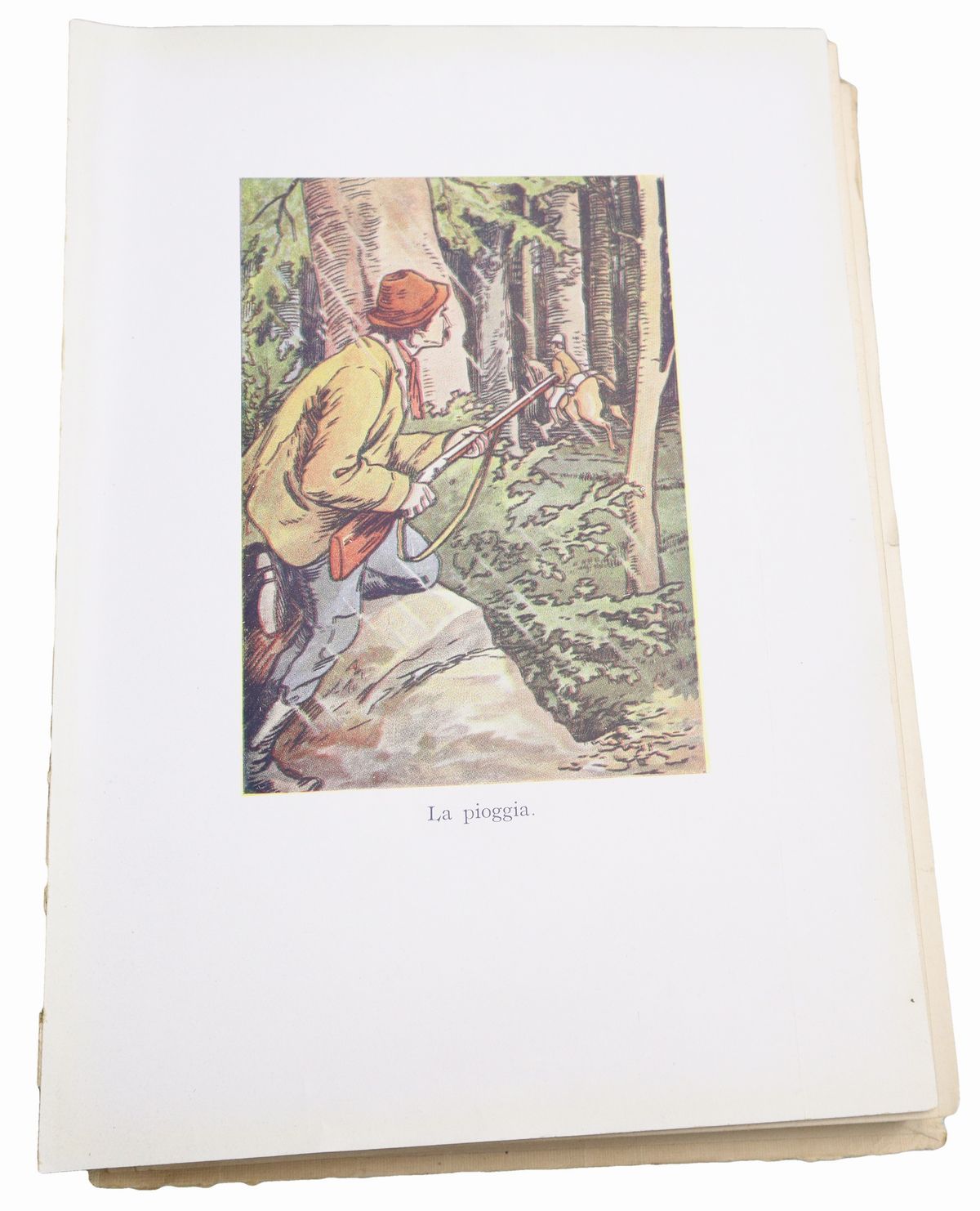 L.h. Nelson - Le Novelline di Cristoforo Schmid