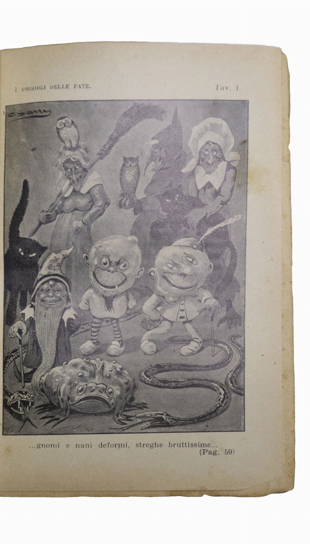 I prodigi delle fate