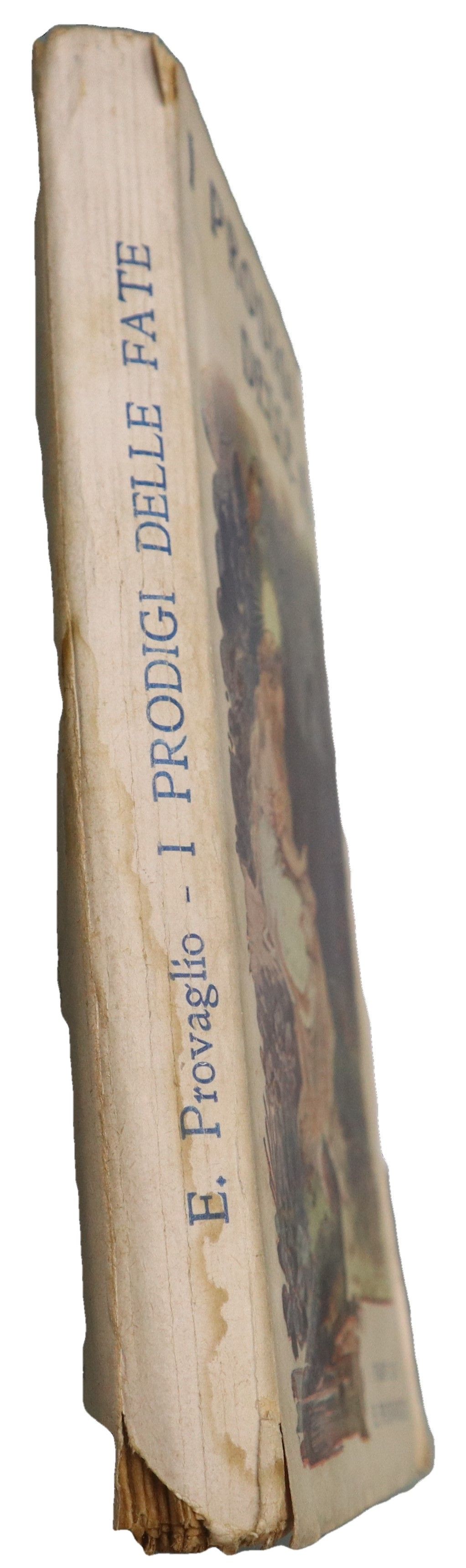 I prodigi delle fate