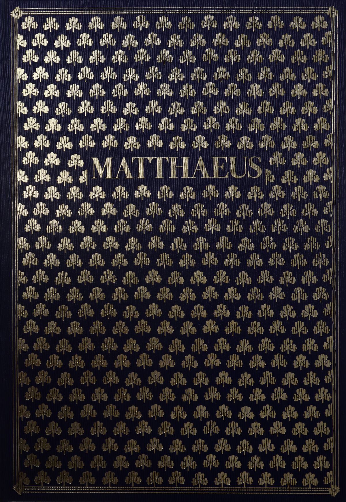 N.5 Volumi della Collana "I Vangeli"