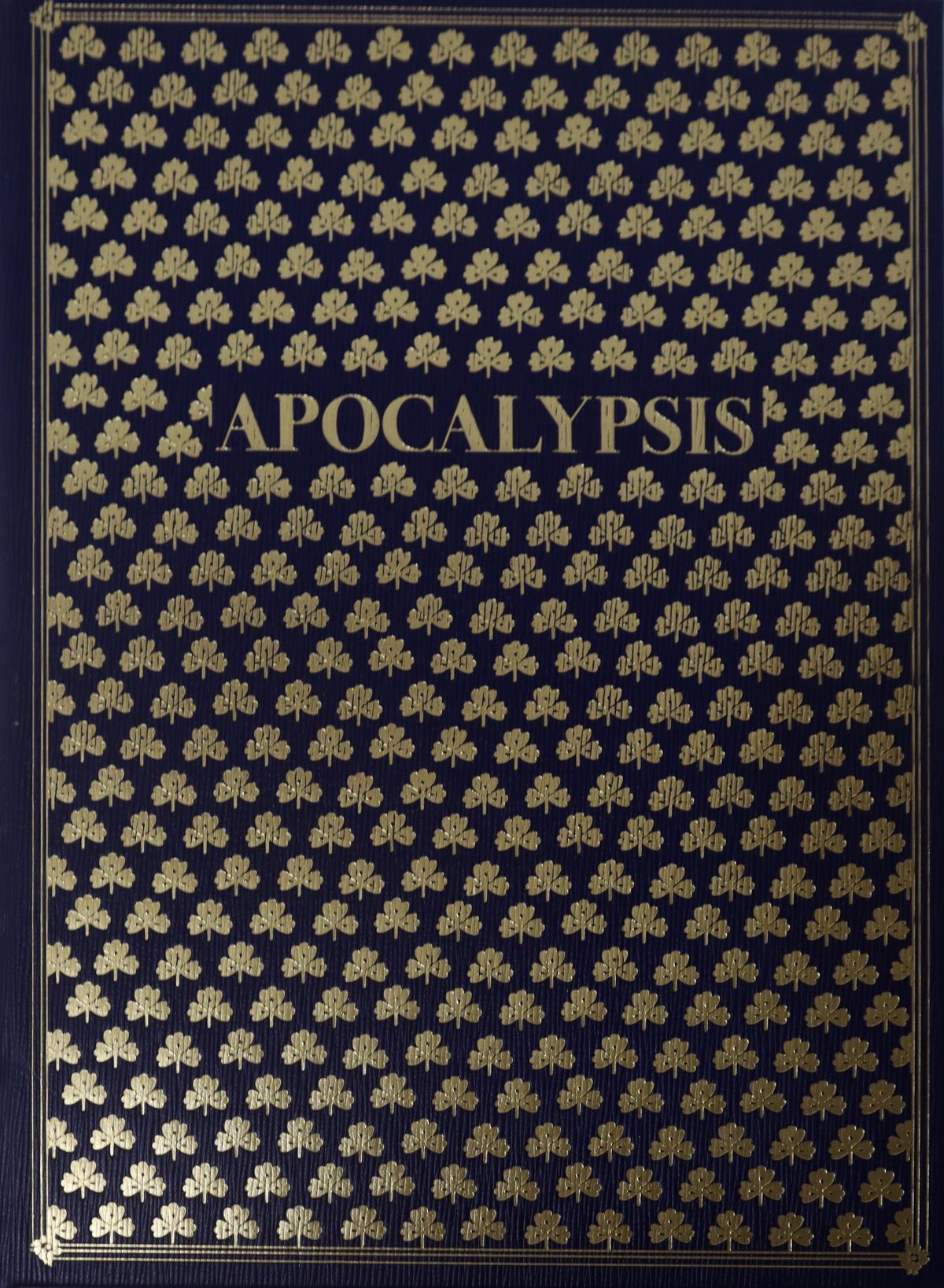 N.5 Volumi della Collana "I Vangeli"