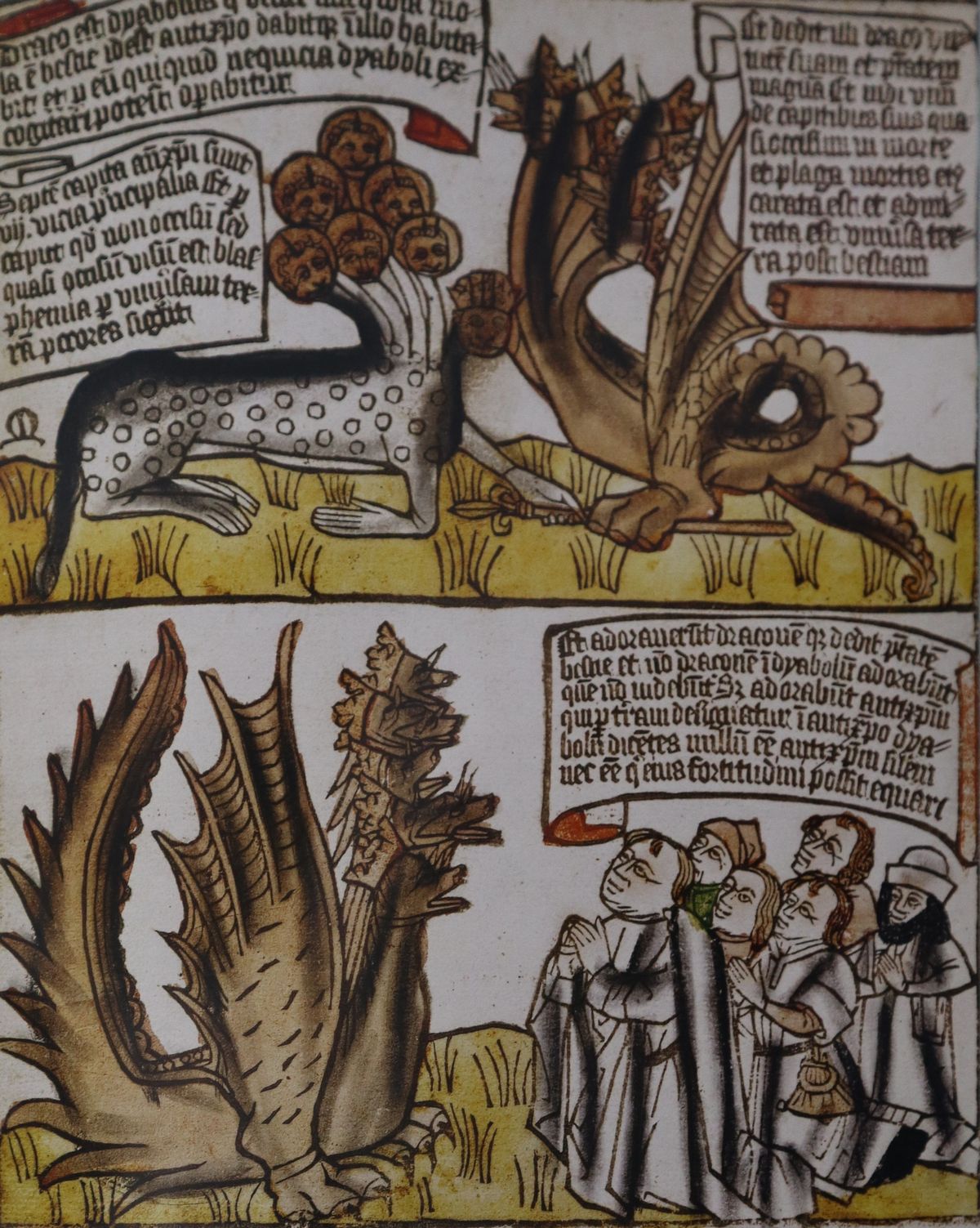 N.5 Volumi della Collana "I Vangeli"