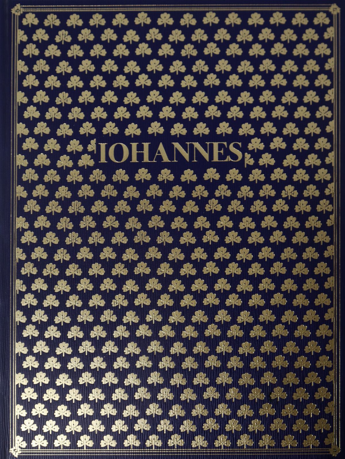 N.5 Volumi della Collana "I Vangeli"