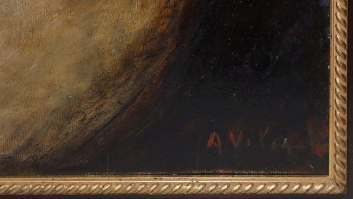 Alberto Vitali - Il Ricoverato