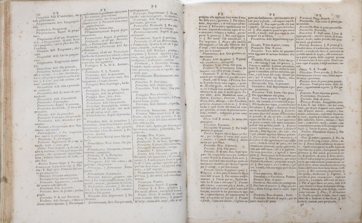 Nuovo dizionario della lingua italiana