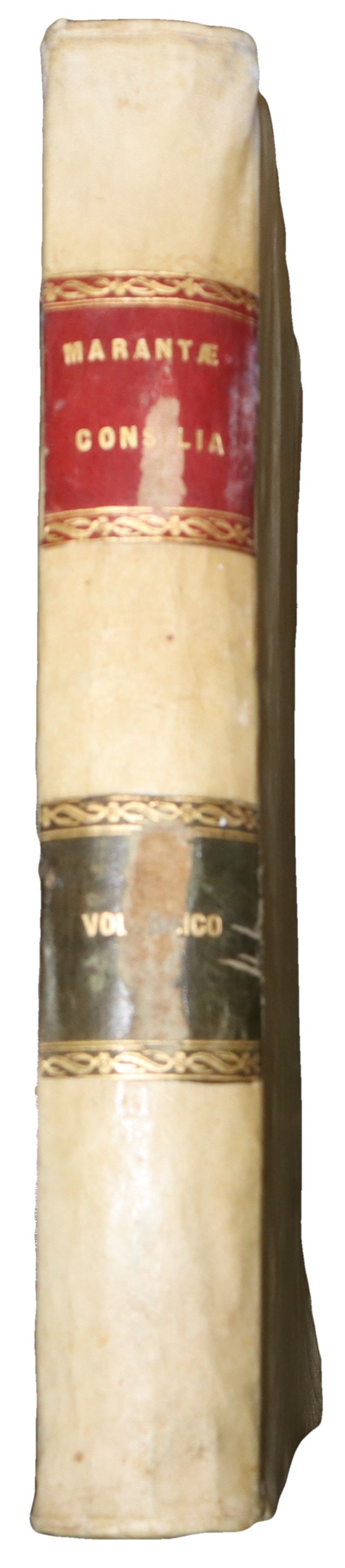 Consilia sive responsa