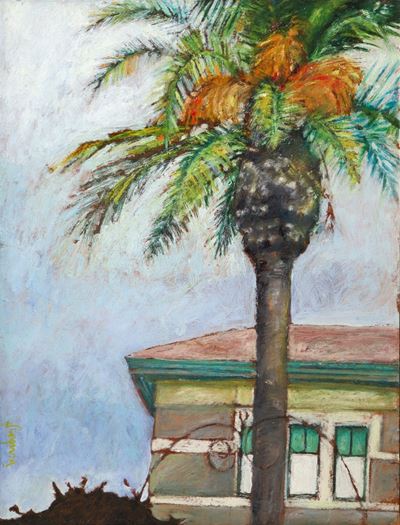Palma nel Catanese