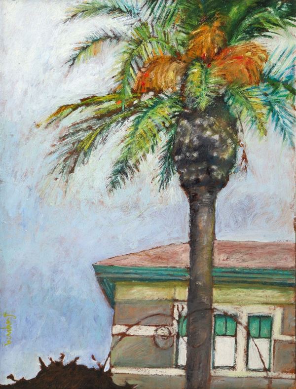 Lucia Ragusa - Palma in the Catania area