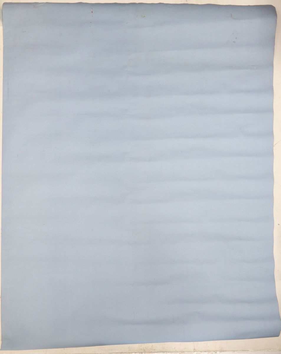 Manifesto ufficiale Coca Cola Light